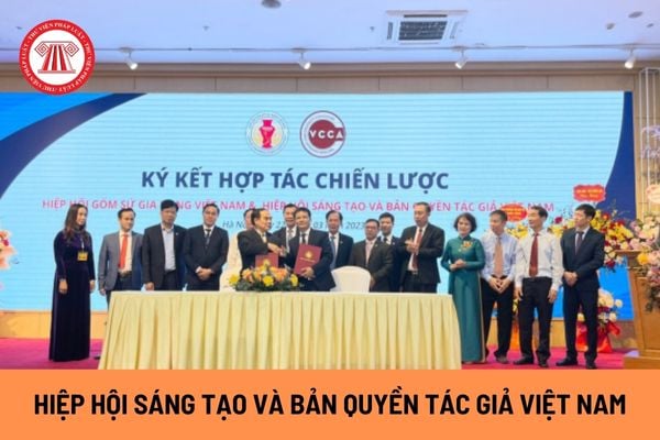 Hiệp hội Sáng tạo và Bản quyền tác giả Việt Nam hoạt động dưới sự điều hành, quản lý của cơ quan nào?