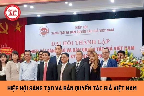 Hiệp hội Sáng tạo và Bản quyền tác giả Việt Nam sử dụng nguồn tài chính cho những hoạt động nào?
