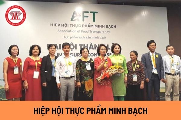 Tài chính của Hiệp hội Thực phẩm minh bạch đến từ những nguồn thu nào? Hiệp hội sử dụng nguồn tài chính cho những hoạt động gì?