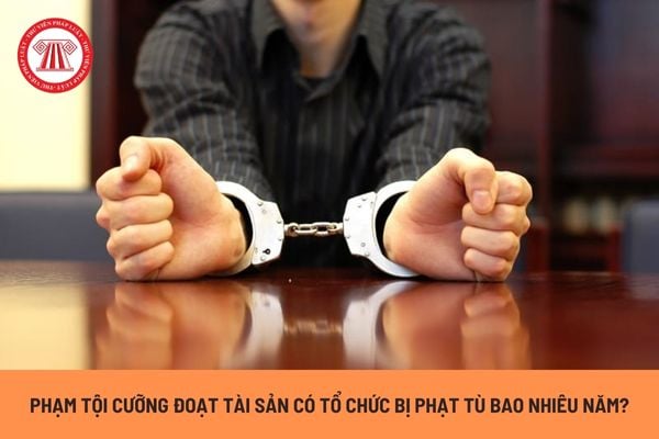 Phạm tội cưỡng đoạt tài sản có tổ chức bị phạt tù bao nhiêu năm? Người phạm tội có bị tịch thu tài sản hay không?