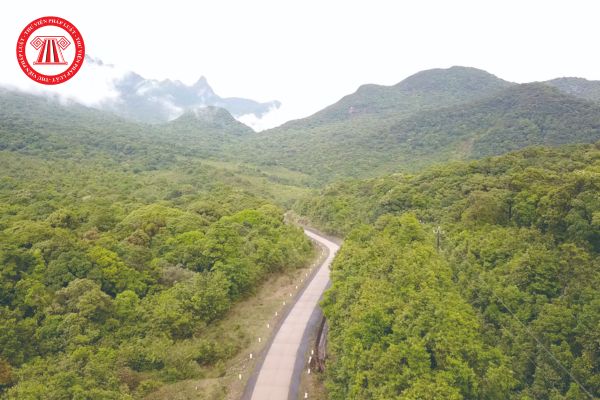 Quỹ Bảo vệ và phát triển rừng Việt Nam hoạt động theo loại hình đơn vị sự nghiệp công lập đúng không?
