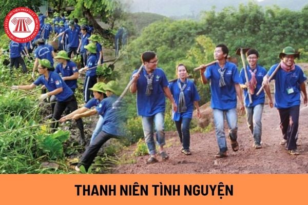 Thanh niên tình nguyện là gì? Trong Tháng Thanh niên, thanh niên tình nguyện có được xem xét kết nạp Đảng?