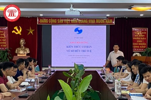 Cục Sở hữu trí tuệ có được quyền tổ chức các khóa đào tạo, bồi dưỡng về sở hữu trí tuệ hay không?