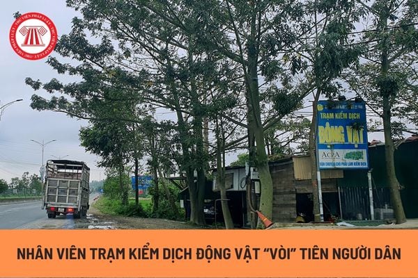 Nhân viên trạm kiểm dịch động vật vòi tiền của người dân có bị truy cứu trách nhiệm hình sự hay không?