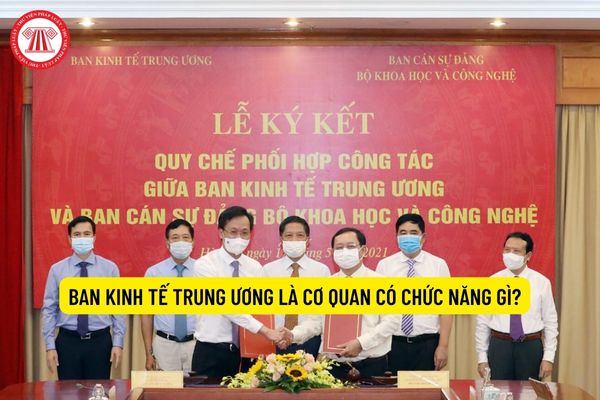 Ban Kinh tế Trung ương là cơ quan có chức năng gì? Cơ cấu tổ chức của Ban Kinh tế Trung ương như thế nào?