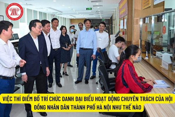 Việc thí điểm bố trí chức danh đại biểu hoạt động chuyên trách của Hội đồng nhân dân thành phố Hà Nội như thế nào? 
