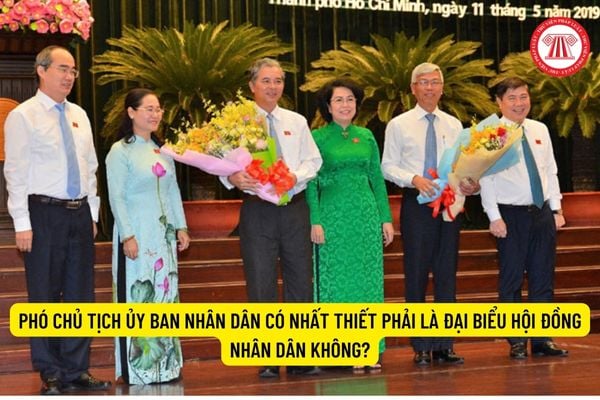 Phó Chủ tịch Ủy ban Nhân dân có nhất thiết phải là Đại biểu Hội đồng nhân dân không?