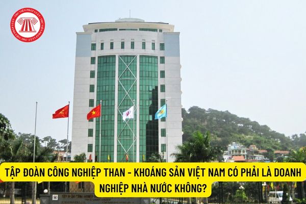 Tập đoàn Công nghiệp Than - Khoáng sản Việt Nam có phải là doanh nghiệp nhà nước không?