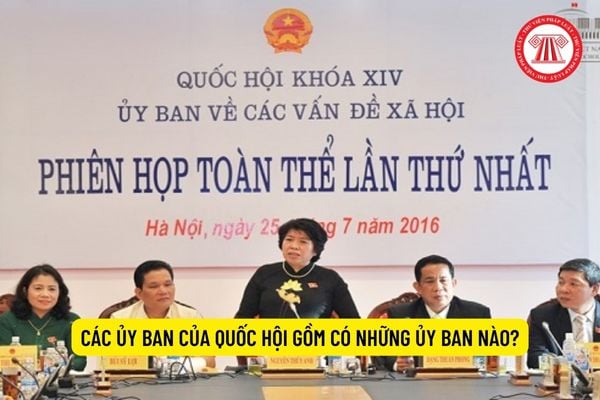 Các Ủy ban của Quốc hội gồm có những Ủy ban nào?