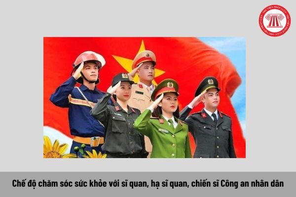 Pháp luật