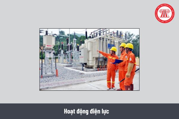 Pháp luật