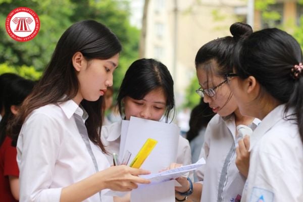 Pháp luật