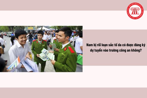Pháp luật