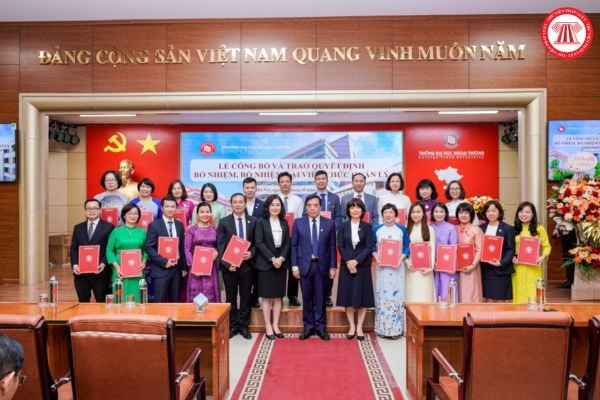 Pháp luật