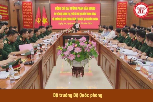 Pháp luật