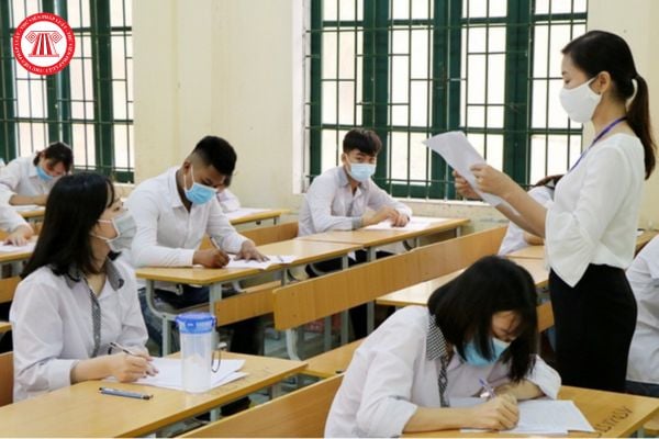 Pháp luật