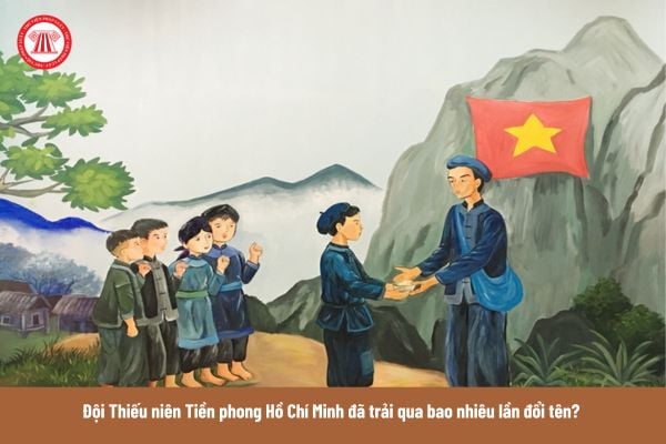 Pháp luật