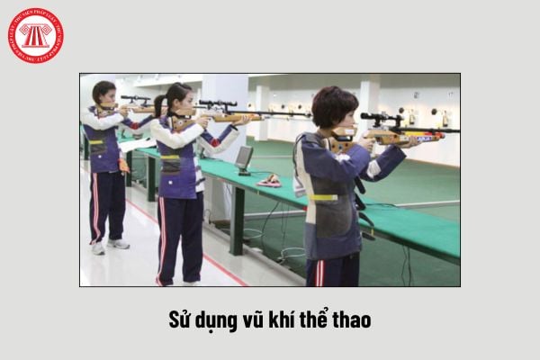 Pháp luật