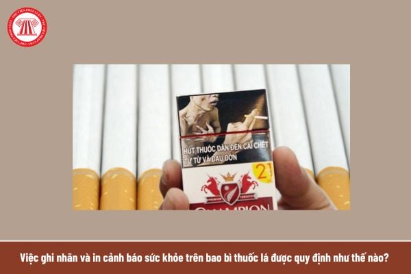 Pháp luật