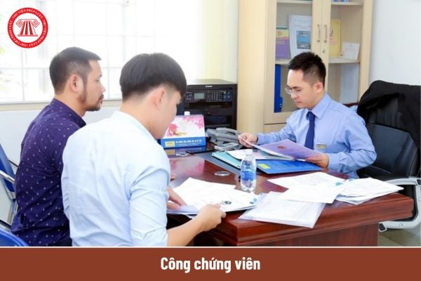 Pháp luật