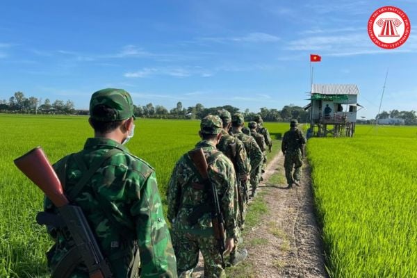Pháp luật