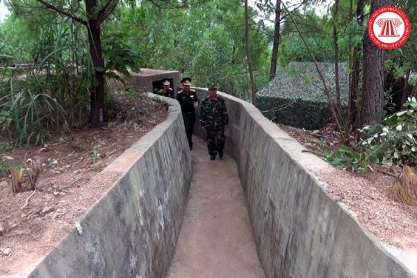 Pháp luật
