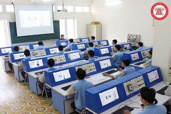 Pháp luật