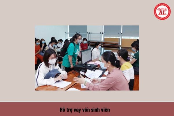 Pháp luật