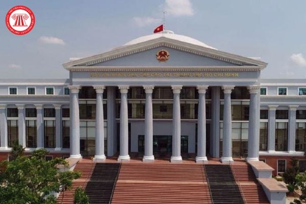 Pháp luật