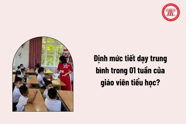 Pháp luật