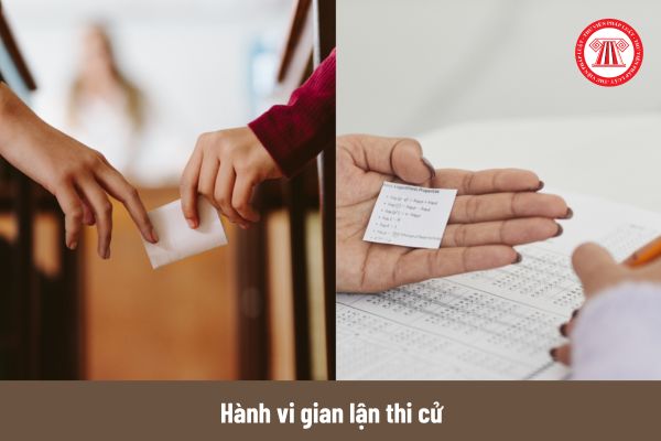 Pháp luật