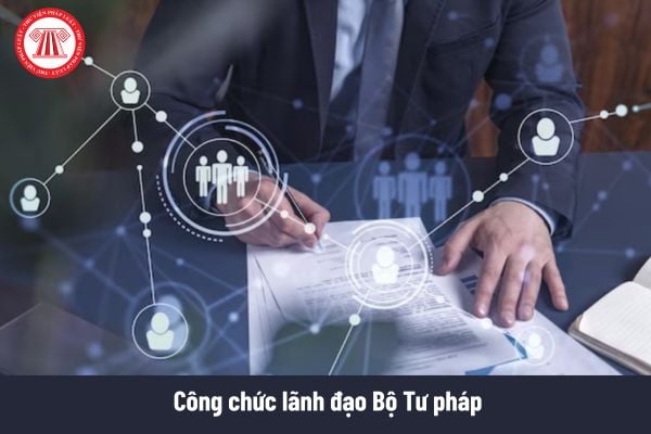 Pháp luật