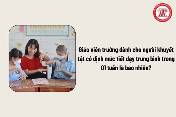 Pháp luật