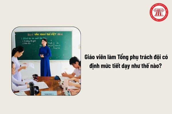 Pháp luật