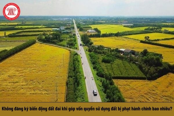 Pháp luật