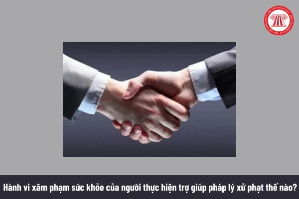 Pháp luật