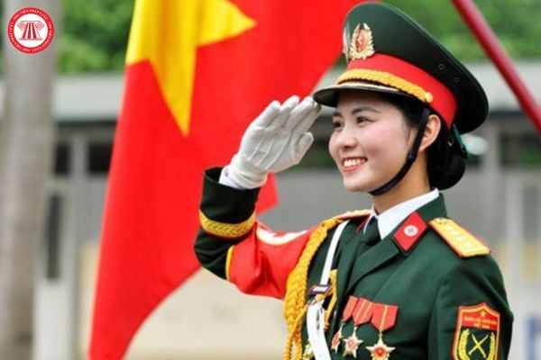 Pháp luật