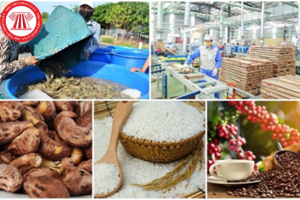 sản xuất kinh doanh thực phẩm nông lâm thủy sản và muối