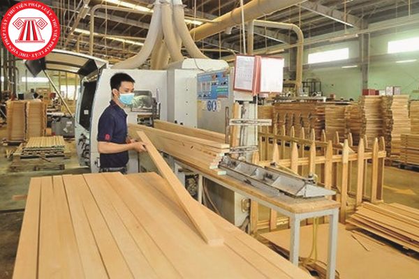 chế biến và xuất khẩu gỗ
