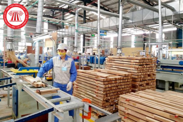 doanh nghiệp chế biến và xuất khẩu gỗ