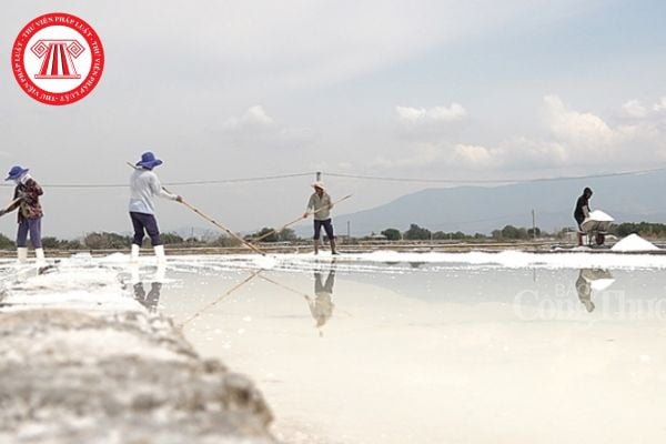 sử dụng đất làm muối