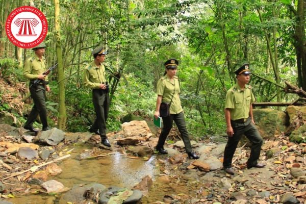 kiểm lâm