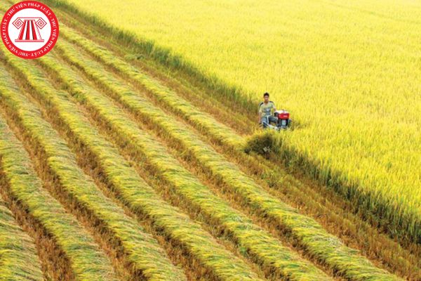 đất chuyên trồng lúa nước cần bảo vệ nghiêm ngặt