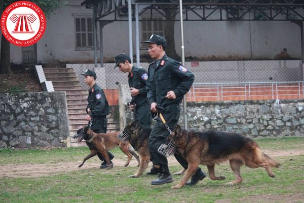 chó nghiệp vụ