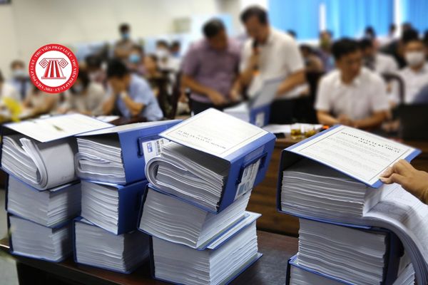 Pháp luật