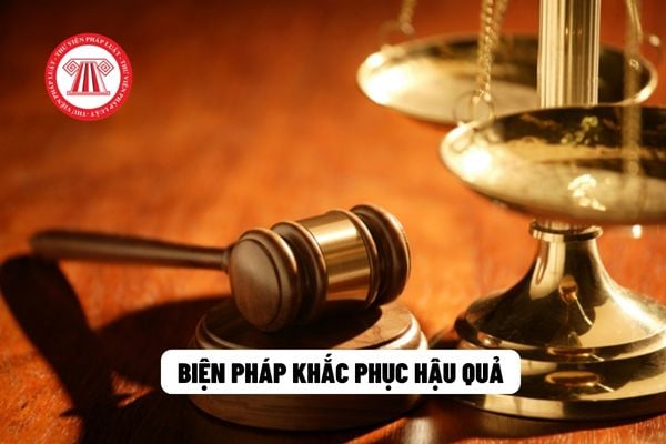 Khi áp dụng biện pháp cưỡng chế buộc thực hiện biện pháp khắc phục hậu quả phải tuân theo nguyên tắc gì?