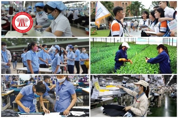 Người lao động làm việc tại huyện Lý Sơn tỉnh Quảng Ngãi nghỉ hưu trước tuổi có bị trừ lương hưu không?