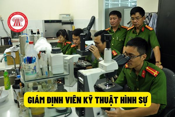 Giám định viên kỹ thuật lĩnh vực kỹ thuật hình sự