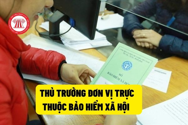 Thủ trưởng đơn vị trực thuộc Bảo hiểm xã hội Viêt Nam có thể cử viên chức đi công tác hay không?