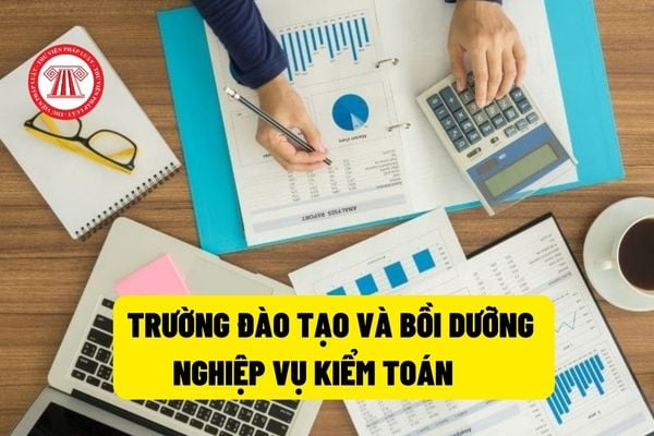 Trường Đào tạo và Bồi dưỡng nghiệp vụ kiểm toán